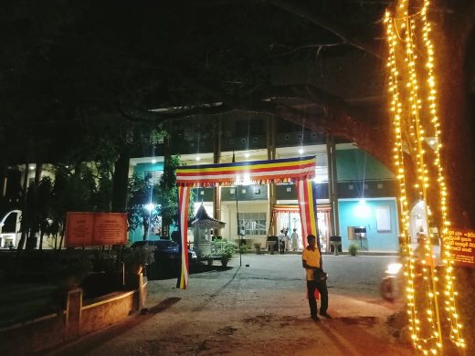 danaya04